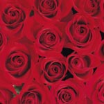 manyred2