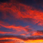 redsky