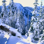 snow3